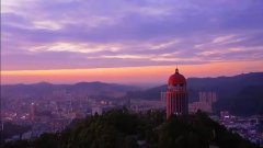 绿肺之殇：观音山毁林背后的多方博弈与治理困局(图